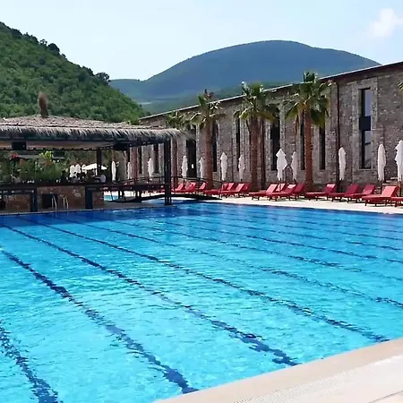 Otel Rozafa Fish *